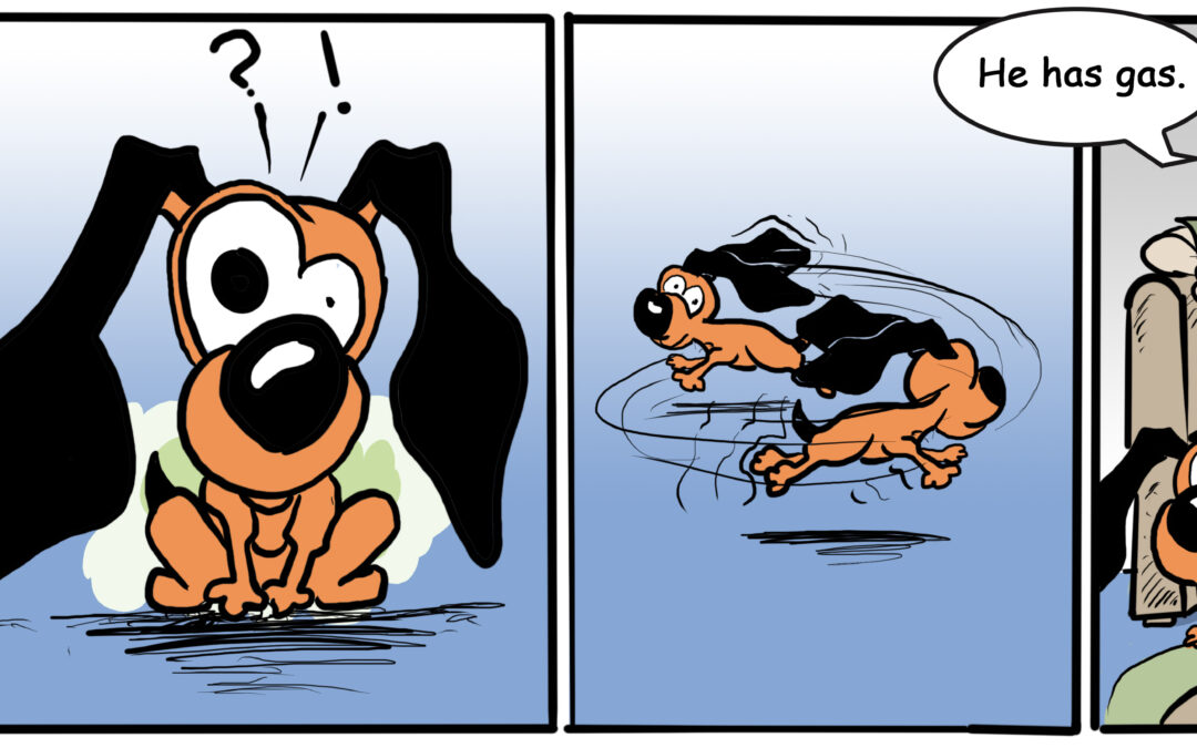 Stupid Is … Comic – #104 – Odorous Spinicus
