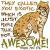 Babou is Awesome T-Shirt