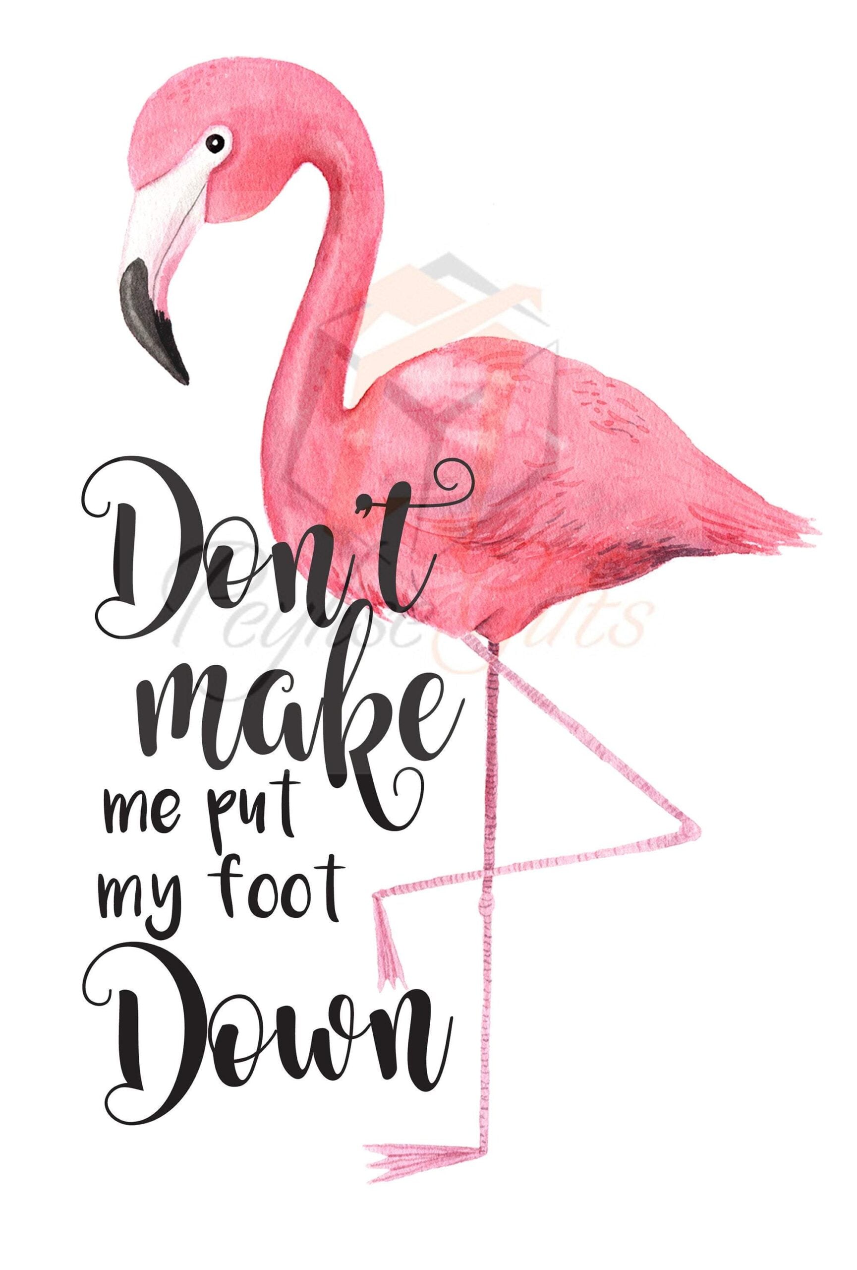Don't Make Me Put My Foot Down, Flamingo, PNG File