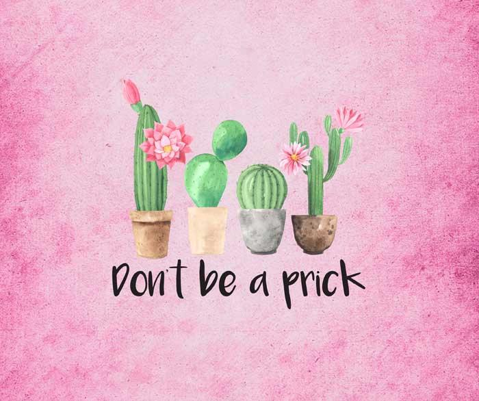 Don't Be a Prick, 20oz. Skinny Straight Tumbler